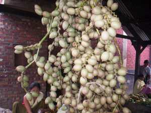 Lee - Manipur Medicinal Plants