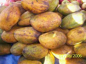 Heinou - Manipur Medicinal Plants